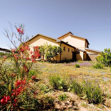 Agriturismo Bio Podere 109 - Wine&Food Alberese Dış mekan fotoğraf