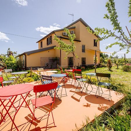 Agriturismo Bio Podere 109 - Wine&Food Alberese Dış mekan fotoğraf