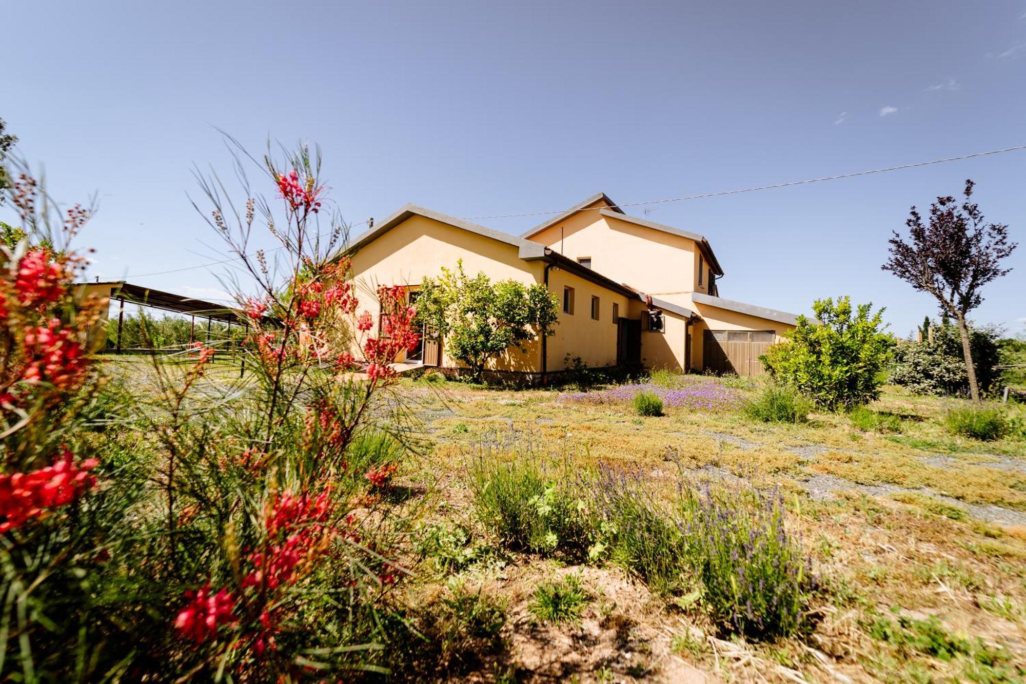 Agriturismo Bio Podere 109 - Wine&Food Alberese Dış mekan fotoğraf